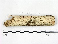 登錄號:F0022590藏品圖，第1張