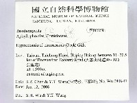 登錄號:F0022591藏品圖，第2張