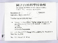 登錄號:F0022593藏品圖，第2張