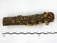 登錄號:F0022593藏品圖，第1張