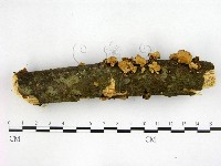 登錄號:F0022593藏品圖，第3張