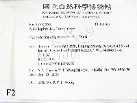 剛毛絲皮菌藏品圖，第2張