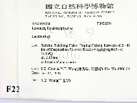 登錄號:F0022598藏品圖，第2張