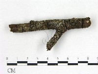 登錄號:F0022598藏品圖，第1張