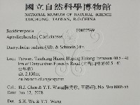 登錄號:F0022599藏品圖，第2張