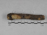 登錄號:F0022599藏品圖，第1張