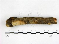 登錄號:F0022599藏品圖，第3張