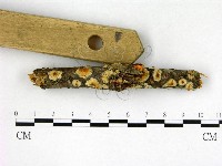 登錄號:F0022600藏品圖，第3張