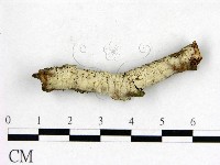 登錄號:F0022601藏品圖，第1張