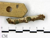 登錄號:F0022601藏品圖，第3張