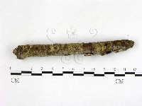 登錄號:F0022603藏品圖，第3張