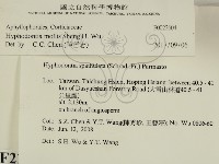 登錄號:F0022604藏品圖，第2張