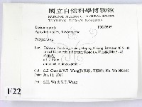 多孔菌屬藏品圖，第2張