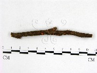 登錄號:F0022606藏品圖，第1張