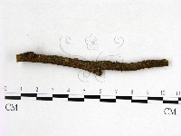 登錄號:F0022606藏品圖，第3張