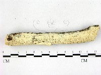 登錄號:F0022607藏品圖，第1張