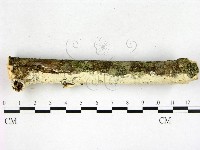 登錄號:F0022607藏品圖，第3張