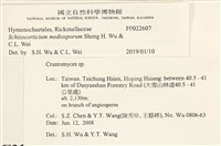 登錄號:F0022607藏品圖，第4張
