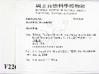 紅菇屬藏品圖，第2張