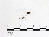 登錄號:F0022610藏品圖，第3張