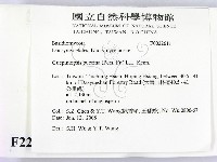 登錄號:F0022611藏品圖，第2張