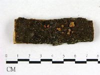 登錄號:F0022611藏品圖，第1張