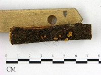 登錄號:F0022611藏品圖，第3張