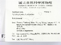 登錄號:F0022612藏品圖，第2張