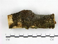 登錄號:F0022612藏品圖，第1張