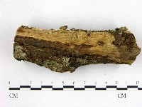 登錄號:F0022612藏品圖，第3張