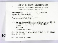 登錄號:F0022613藏品圖，第2張