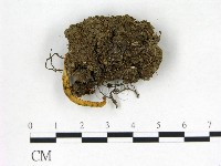 登錄號:F0022615藏品圖，第3張