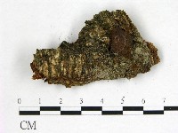 登錄號:F0022616藏品圖，第1張