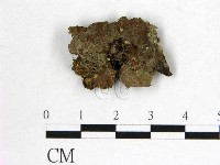 登錄號:F0022616藏品圖，第4張