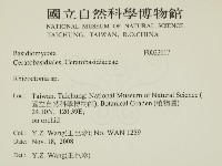 登錄號:F0022617藏品圖，第2張