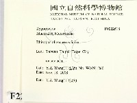 登錄號:F0022618藏品圖，第2張