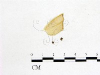 登錄號:F0022618藏品圖，第1張