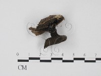 登錄號:F0022619藏品圖，第3張