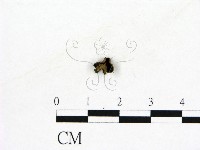 登錄號:F0022620藏品圖，第3張