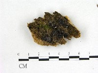 登錄號:F0022621藏品圖，第1張