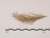 登錄號:F0022622藏品圖，第3張