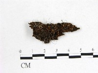 登錄號:F0022623藏品圖，第1張