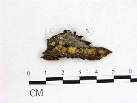 登錄號:F0022623藏品圖，第3張