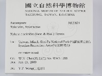 登錄號:F0022624藏品圖，第2張