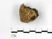 登錄號:F0022624藏品圖，第1張