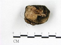 登錄號:F0022624藏品圖，第3張