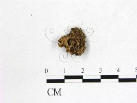 登錄號:F0022625藏品圖，第1張