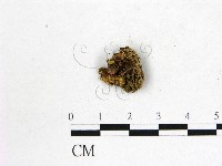 登錄號:F0022625藏品圖，第3張