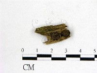 登錄號:F0022626藏品圖，第1張