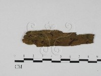 登錄號:F0022627藏品圖，第1張
